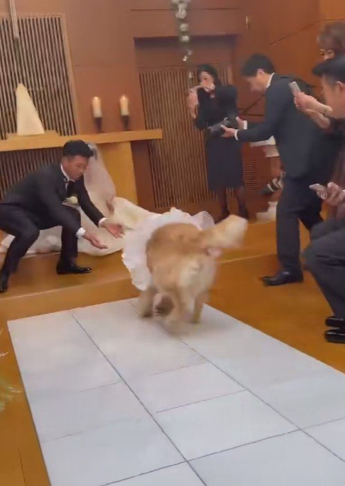 新郎新婦の元へ