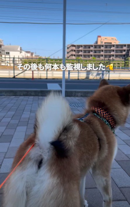 どこか誇らしげ！？