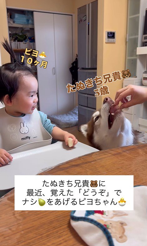 梨を食べるZIGGYくんと男の子2