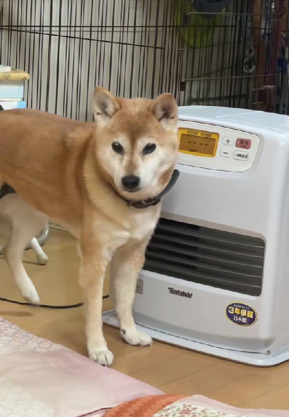 アピール上手！！