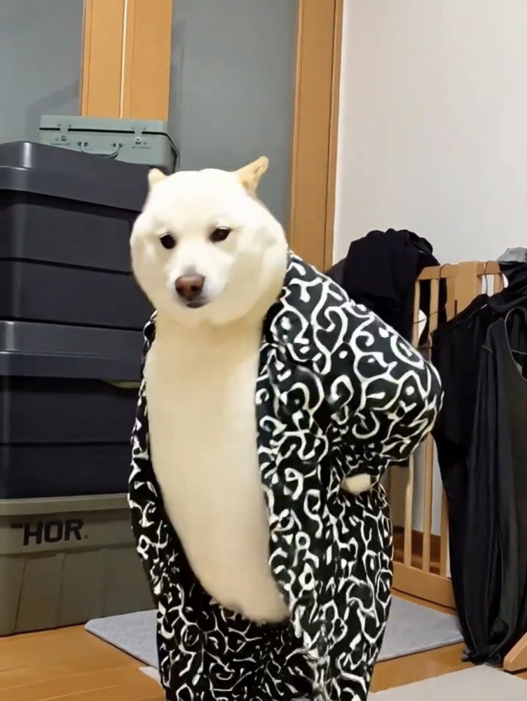 腰に手を当て横を向いて立つ犬
