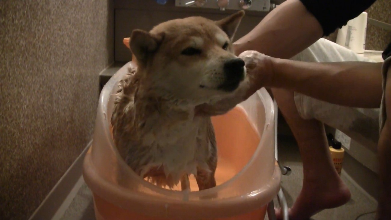 「あれ？気持ちいいかも」
