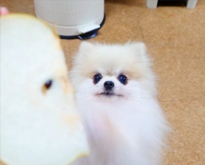梨