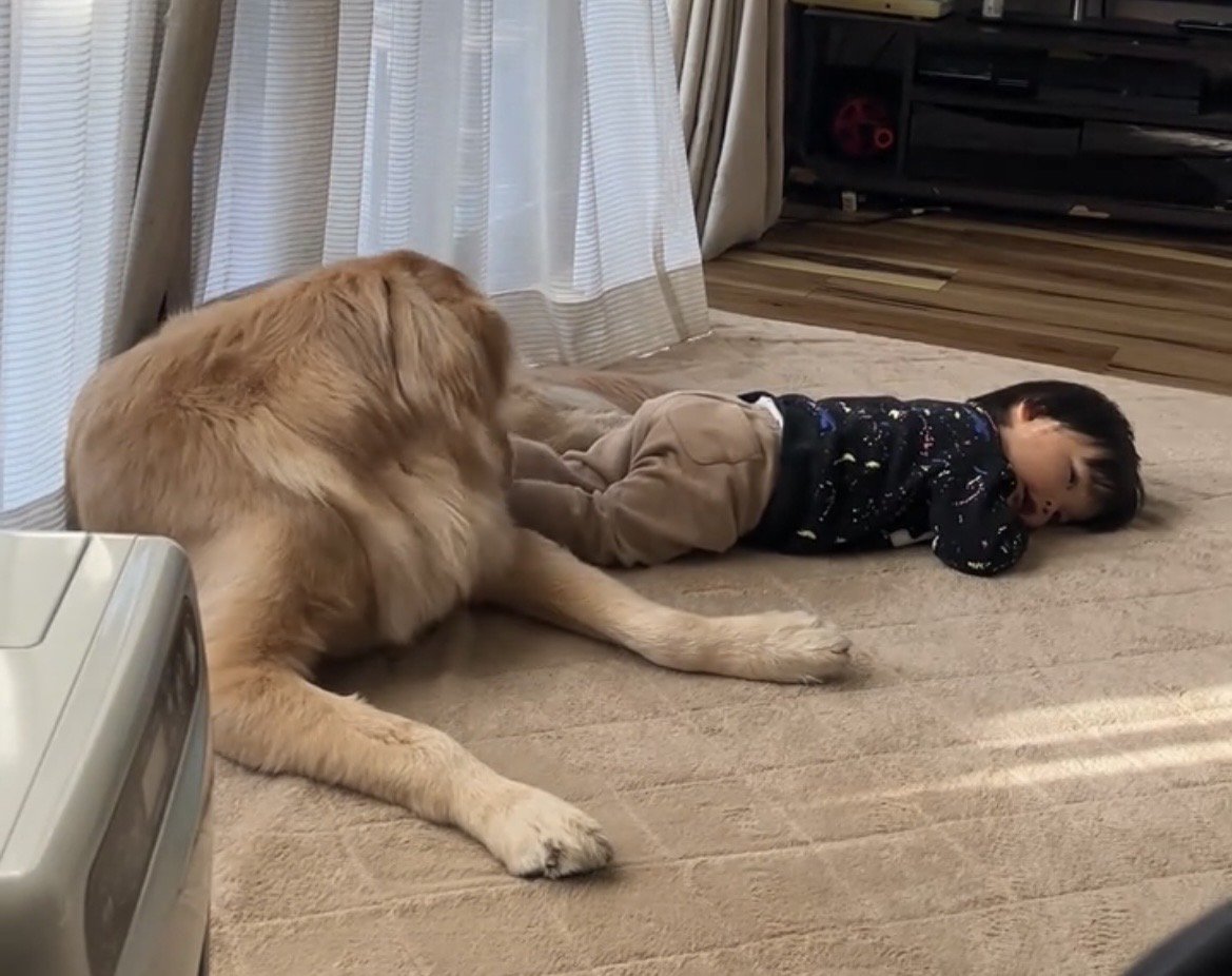 犬のそばで横になる赤ちゃん