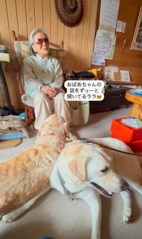 ララちゃんとユーザーさんの再会8