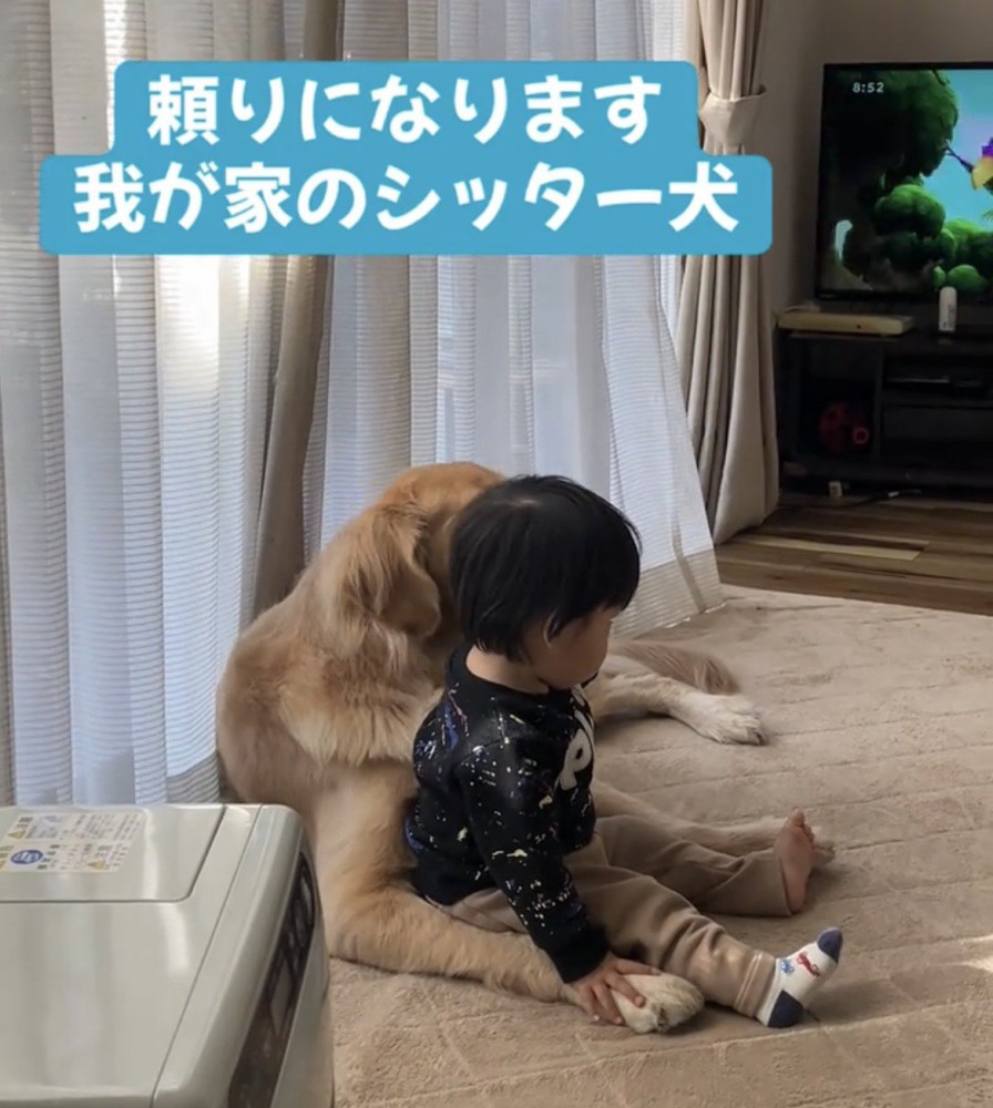 犬の体に寄りかかる赤ちゃん