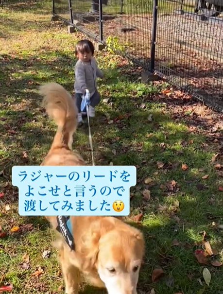 リードを持つ男の子と犬1
