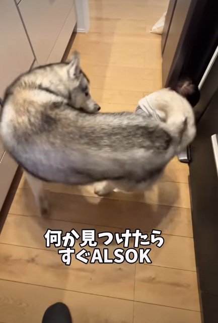 「どこ行くの？」