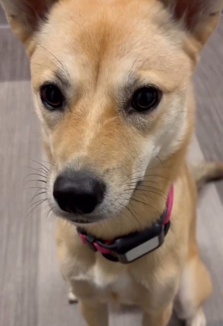 たくさん愛されていることが伝わります…