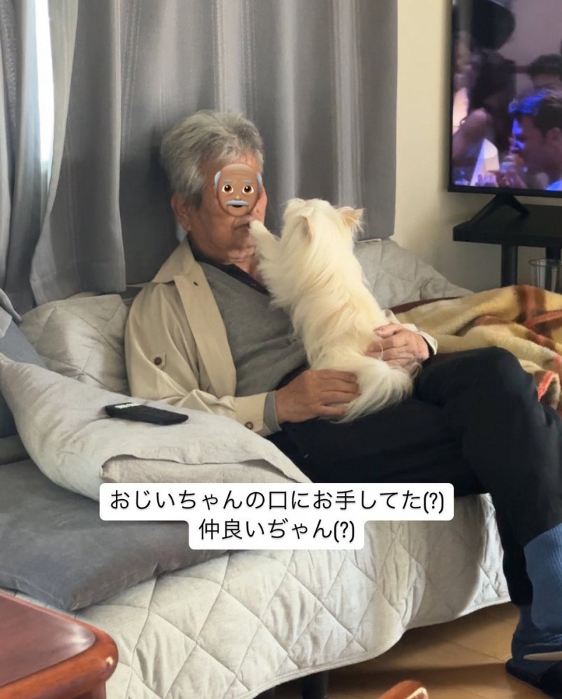 手