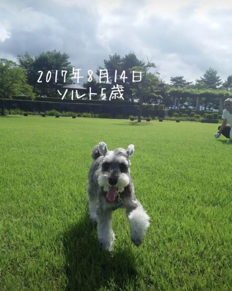 楽しそうな笑顔が全開