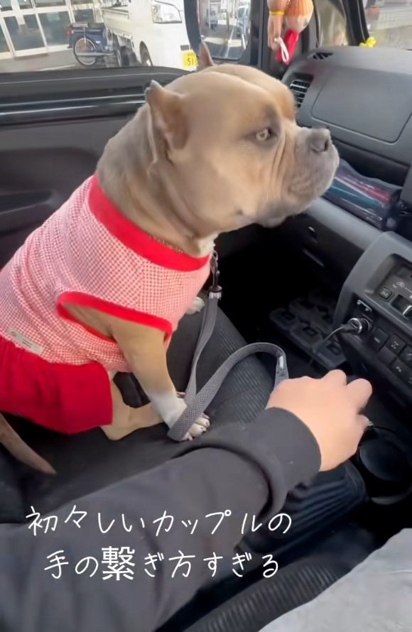 シフトレバーに手を置くパパ