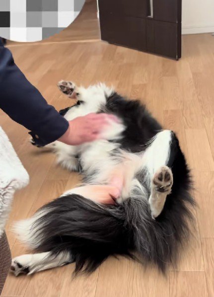 やっと終わったみたい…！