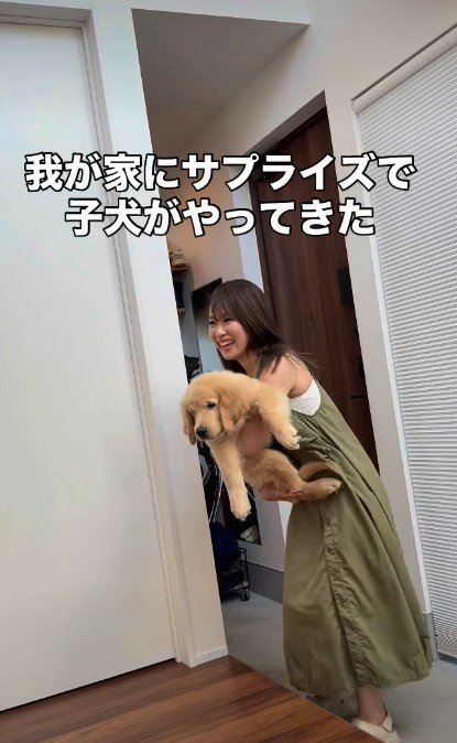 子犬との出会い