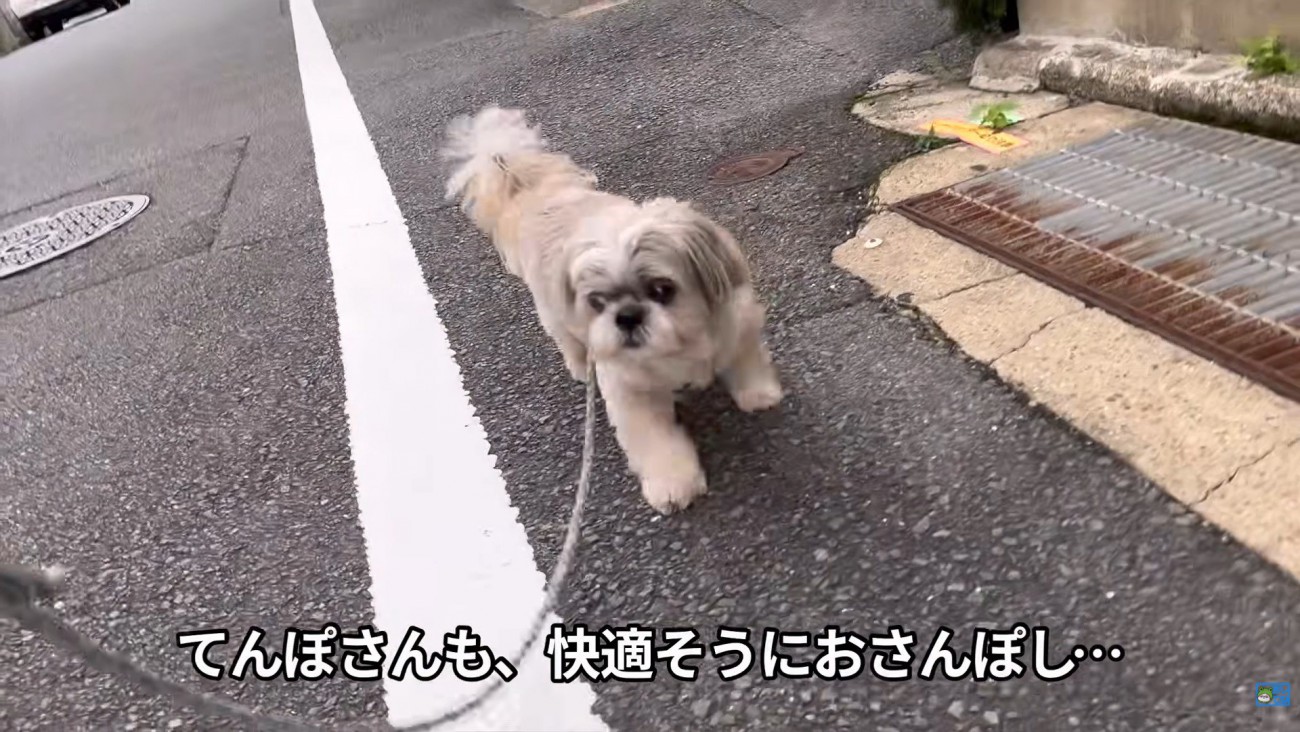 お母さんと一緒にお散歩♪