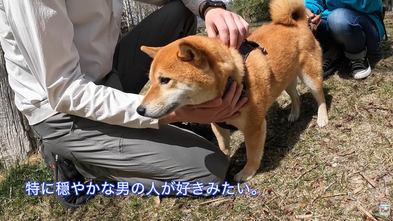 ナラちゃんを撫でると…
