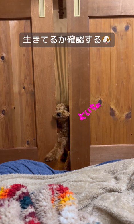 パパさんを心配するポポくん4