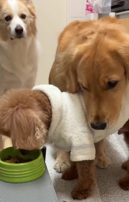 「一口ちょうだい…」