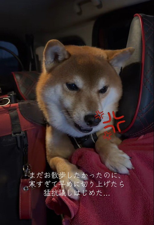 はなまる君の猛抗議2