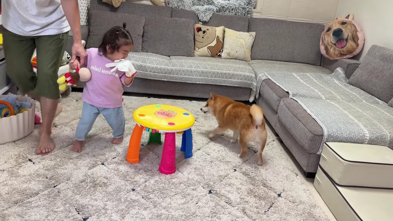 うにくんと追いかけっこ