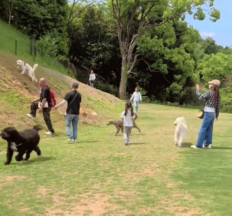 登るおもちちゃん