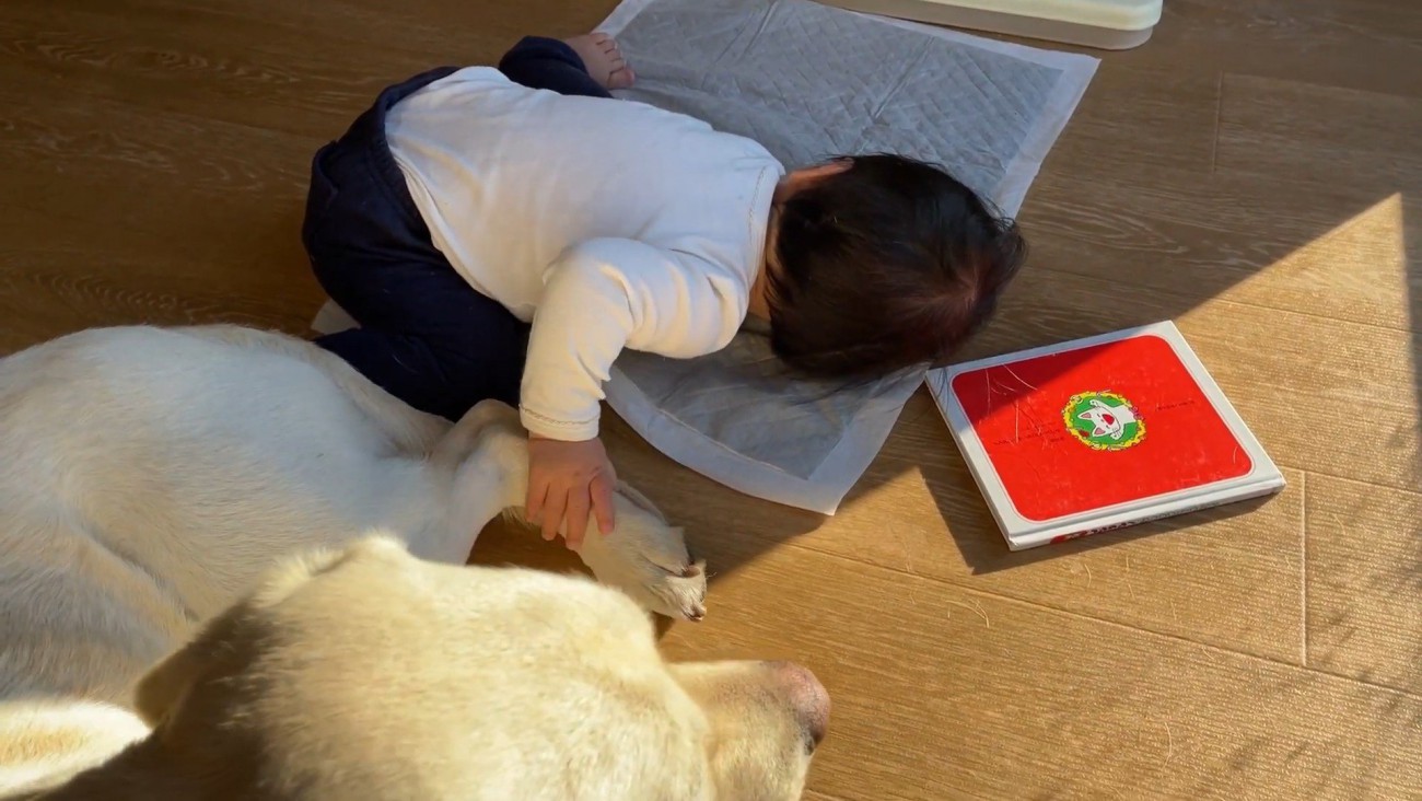 お手々をニギニギ…