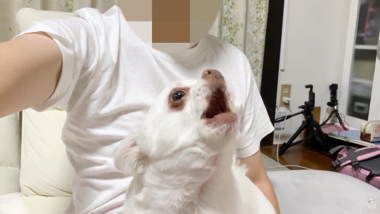 「ダメ！僕を置いて行かないで！」