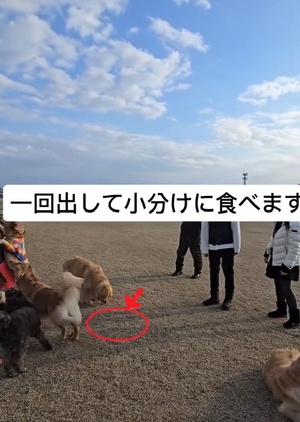 おやつを分けて食べるにこちゃん