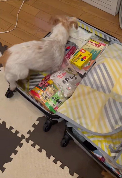 「よいしょ…」