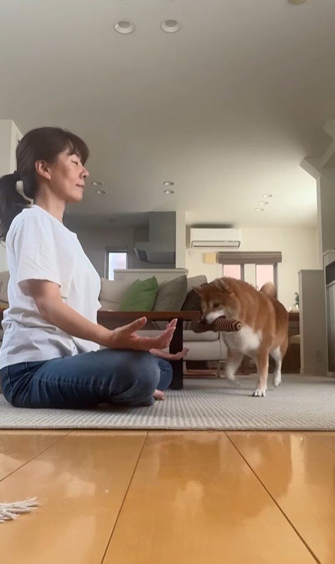 瞑想を邪魔する野々花ちゃん3