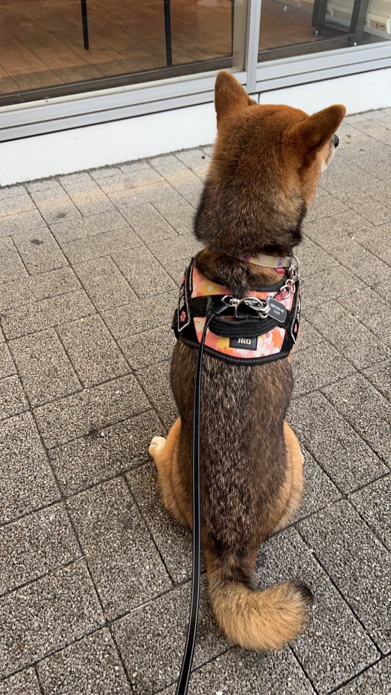 サービスエリア