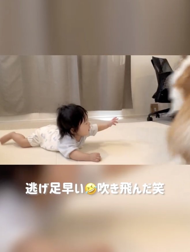 バッ！！