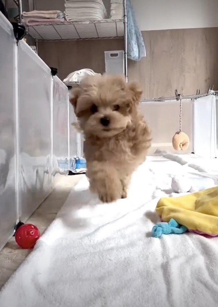 「あそぼっ！」