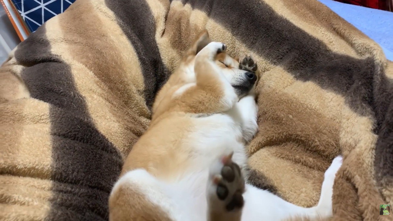 「眠いけど、まだ寝たくないよ～」