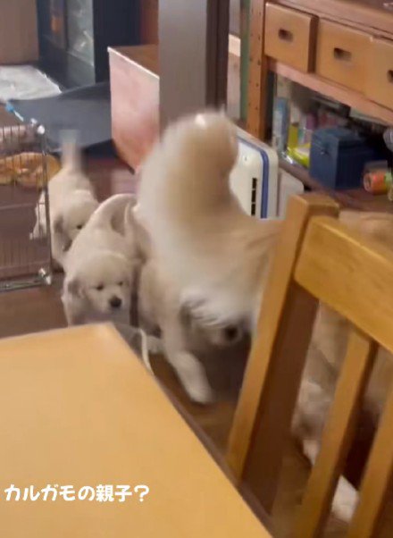 ゾロゾロと並んで移動