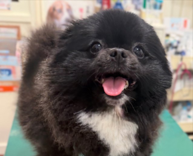 なんだっけ