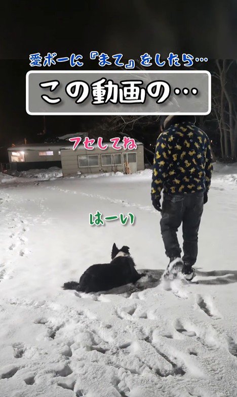 指示に従うU2くん