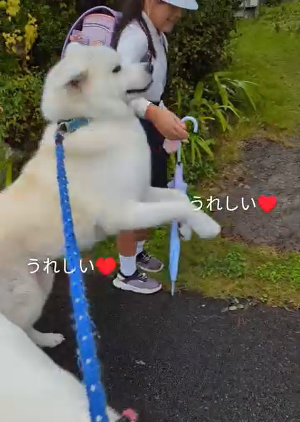 ジャンプするこうたろう君