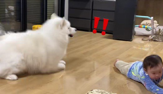 「！！」
