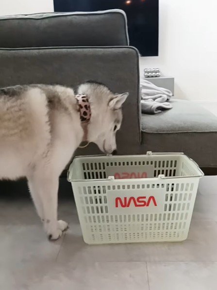カゴの前でイメトレ
