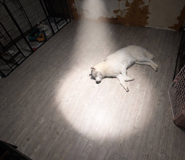 人気アニメと完全一致！？