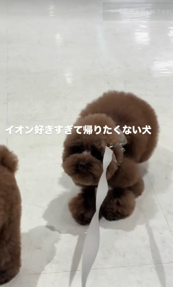 拒否する1匹