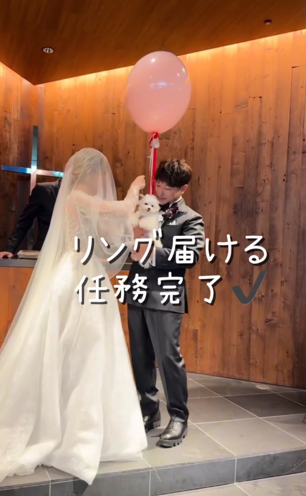 リングドッグ完了