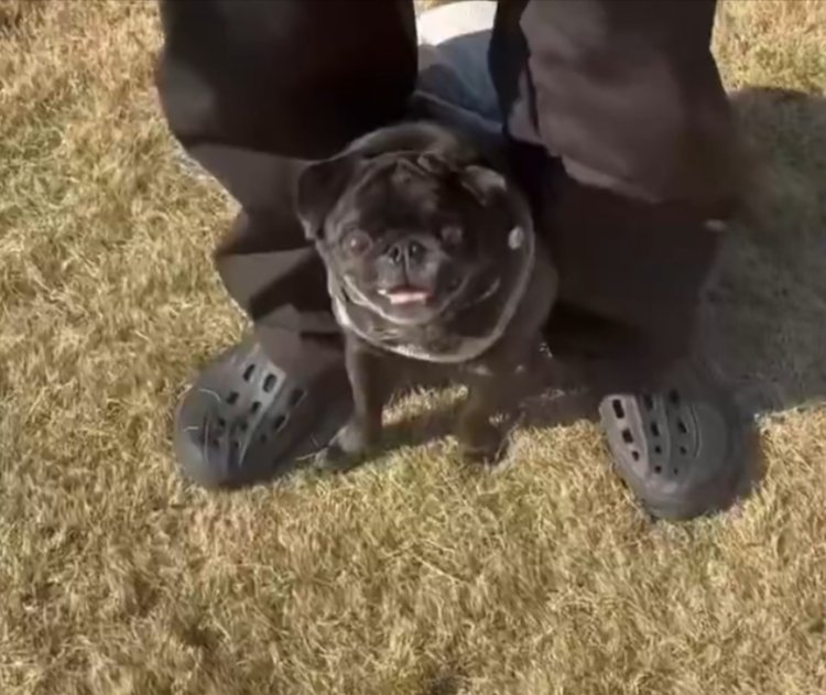 笑顔