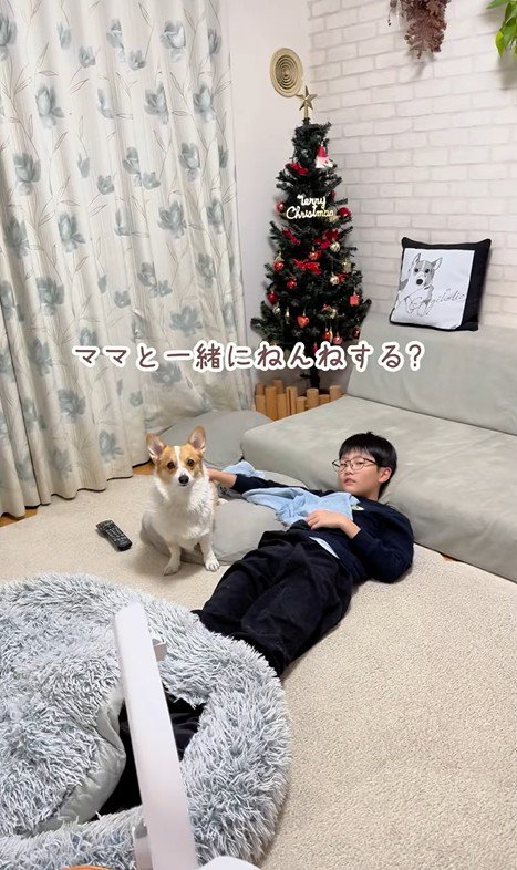 ココちゃんの尊い行動4