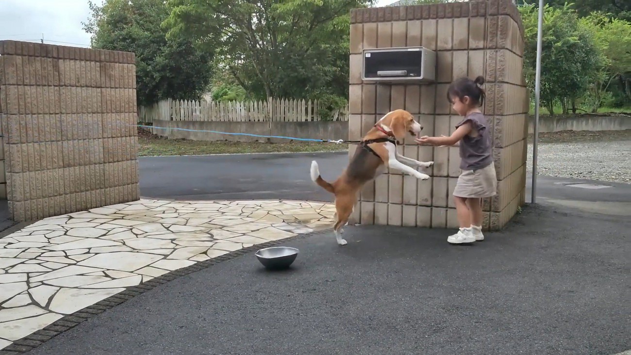 2人とも楽しそう♪