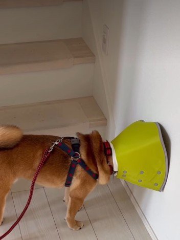 「こんなの付けたくない…！」