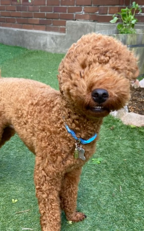 歯茎モンスターのえるもくん4