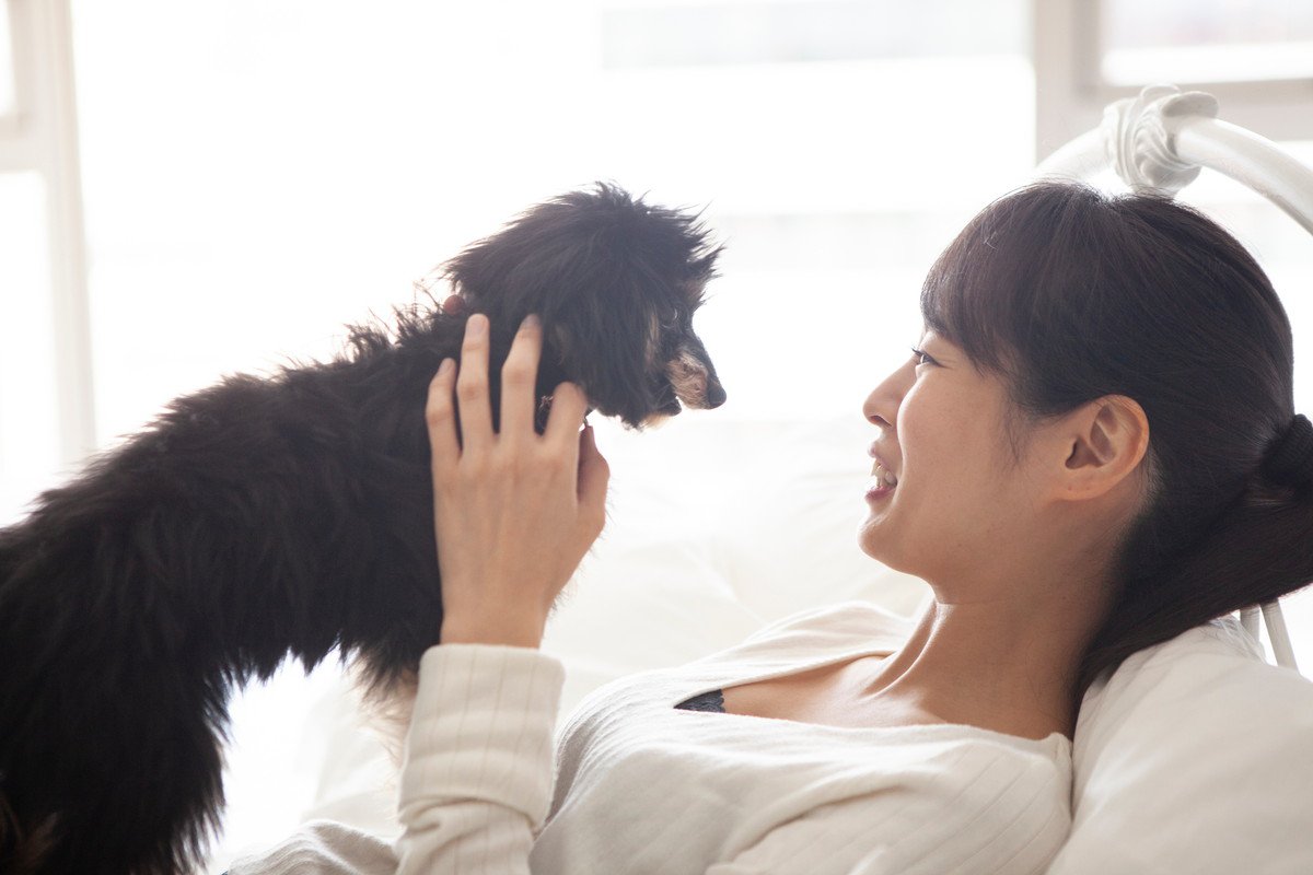 犬を大満足させる『愛情表現』5選 気持ちを伝えるにはどうしたらいいの?必要なコミュニケーションまで