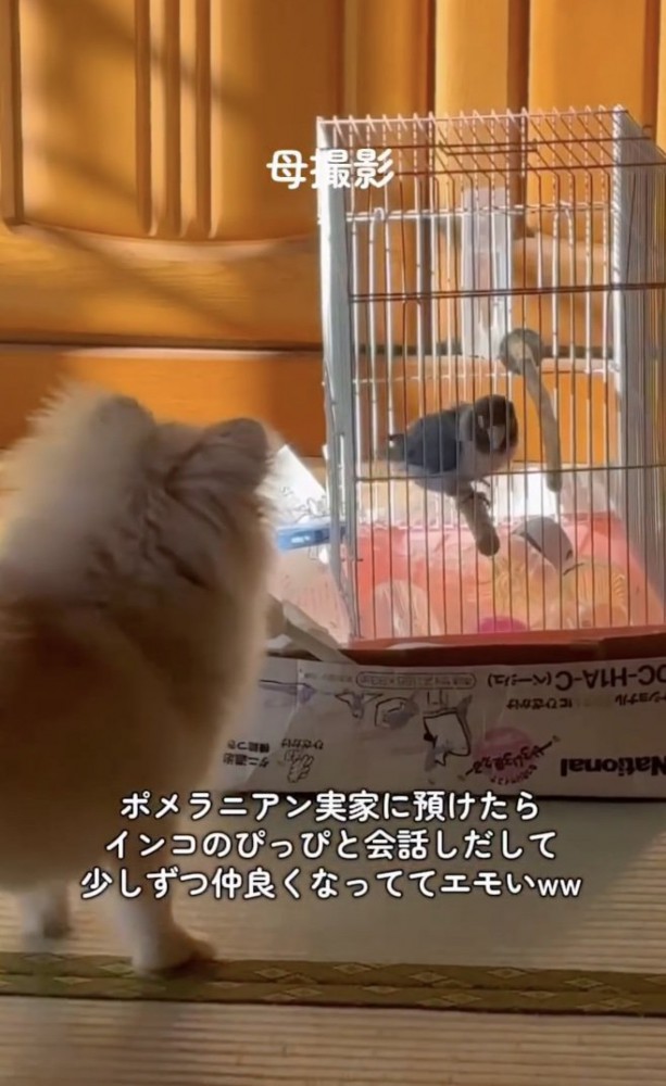 惹かれあってる？